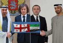 Georgia–UAE Relations Reach New Heights Through Strategic Partnership, Economic Cooperation