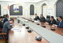 Pakistan Tajikistan Emphasize the Start of Direct Flights and Improvement in Visa Facilitation