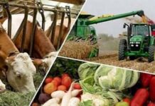 The updated agricultural system in New Uzbekistan serves the interests of farmers
