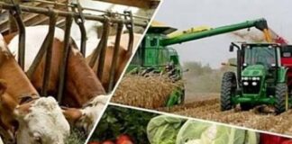 The updated agricultural system in New Uzbekistan serves the interests of farmers