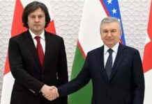 Uzbekistan Georgia Cooperation in Strengthening Connectivity in Central Asia and South Caucasus