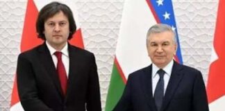 Uzbekistan Georgia Cooperation in Strengthening Connectivity in Central Asia and South Caucasus