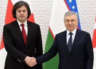 Uzbekistan Georgia Cooperation in Strengthening Connectivity in Central Asia and South Caucasus