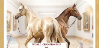 The First World Championship for Akhal Teke Horses in Netherlands
