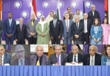 Mushahid highlights Egypt’s central role in the Arab world | Hamid Asghar Khan underscores Egypt’s strategic importance as a partner for Pakistan