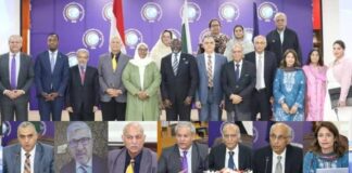 Mushahid highlights Egypt’s central role in the Arab world | Hamid Asghar Khan underscores Egypt’s strategic importance as a partner for Pakistan