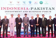 Indonesia and Pakistan Advance a More Sustainable, Investment-Oriented Economic Partnership
