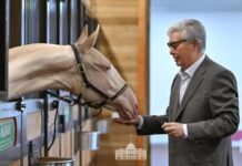 Aqzhan – “Pure Soul” – Brand of the Great Steppe