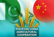 Pakistan, China Join Hands to Establish FAMSUN Technology Display Park at PARC