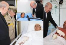 Algeria Fire takes 12 Lives – Authorities Extinguish 118 out of 123 Burning Points | President Announces 3 Days Mourning | Warns the Perpetrators of Consequences