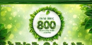 A Day to Remember: Ethiopia Plants 800 Million Trees in Single-Day