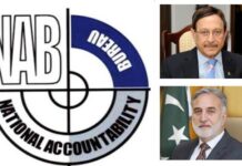 WHAT NAB IS DOING ? Alters the Law to Brobe into Cases less than 500 million Rs | Senate Committee Forbids Chairman | Expresses Dissatisfation on Non Action on Mega Corruption
