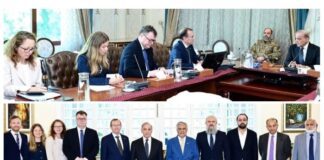Prime Minister invites Norwegian companies to invest in oil & gas exploration in Pakistan