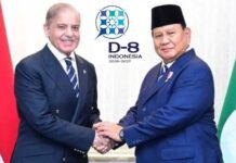 “Navigating Global Shifts: Strengthening Equality, Solidarity and Cooperation for Shared Prosperity” Indonesia to Host Developing-8 Summit Starting on 17 Aug | Prime Minister Shehbaz to Represent Pakistan