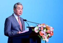 Wang Yi calls for stronger global cooperation to advance global development
