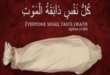 اللہ نے یہ کیوں نہیں فرمایا کہ (ہر نفس مر جائے گا) بلکہ فرمایا (ہر نفس موت کا ذائقہ چکھنے والا ہے)؟