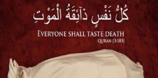 اللہ نے یہ کیوں نہیں فرمایا کہ (ہر نفس مر جائے گا) بلکہ فرمایا (ہر نفس موت کا ذائقہ چکھنے والا ہے)؟