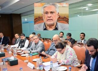 DPM Reviewes the Rollout of Prime Minister’s Special Relief Scheme on Fuel Subsidy at Nationwide Level