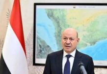Whistleblower from Yemen | President calls for a more effective international partnership to support the state’s capacity to protect Bab al-Mandab