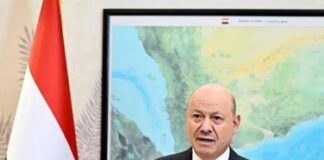 Whistleblower from Yemen | President calls for a more effective international partnership to support the state’s capacity to protect Bab al-Mandab
