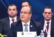 Algerian prime minister calls for investment mechanism for infrastructure in gas sector