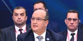 Algerian prime minister calls for investment mechanism for infrastructure in gas sector