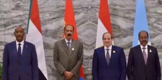Egypt, Eritrea, Somalia and Sudan Call for Peaceful Solutions to Regional Conflicts including Civil War in Sudan , Major Fighting in Ethiopia