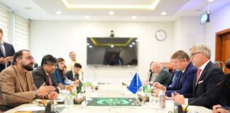 Minister Stresses Need to Expand Employment Opportunities for Pakistani Skilled Workforce in European Countries