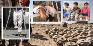 Houthi Militia’s Landmines Claim Lives of 4,501 People including Children, Women in Yemen ; Camouflaged Explosive Devices Uncovered in Taiz